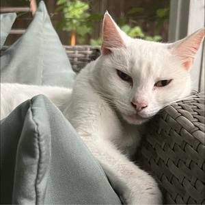 Meet your Posher, Stewart